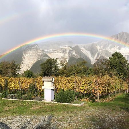 Galleria Ars Apua Bed and Breakfast Carrara Exterior foto