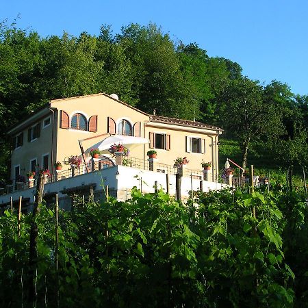 Galleria Ars Apua Bed and Breakfast Carrara Exterior foto