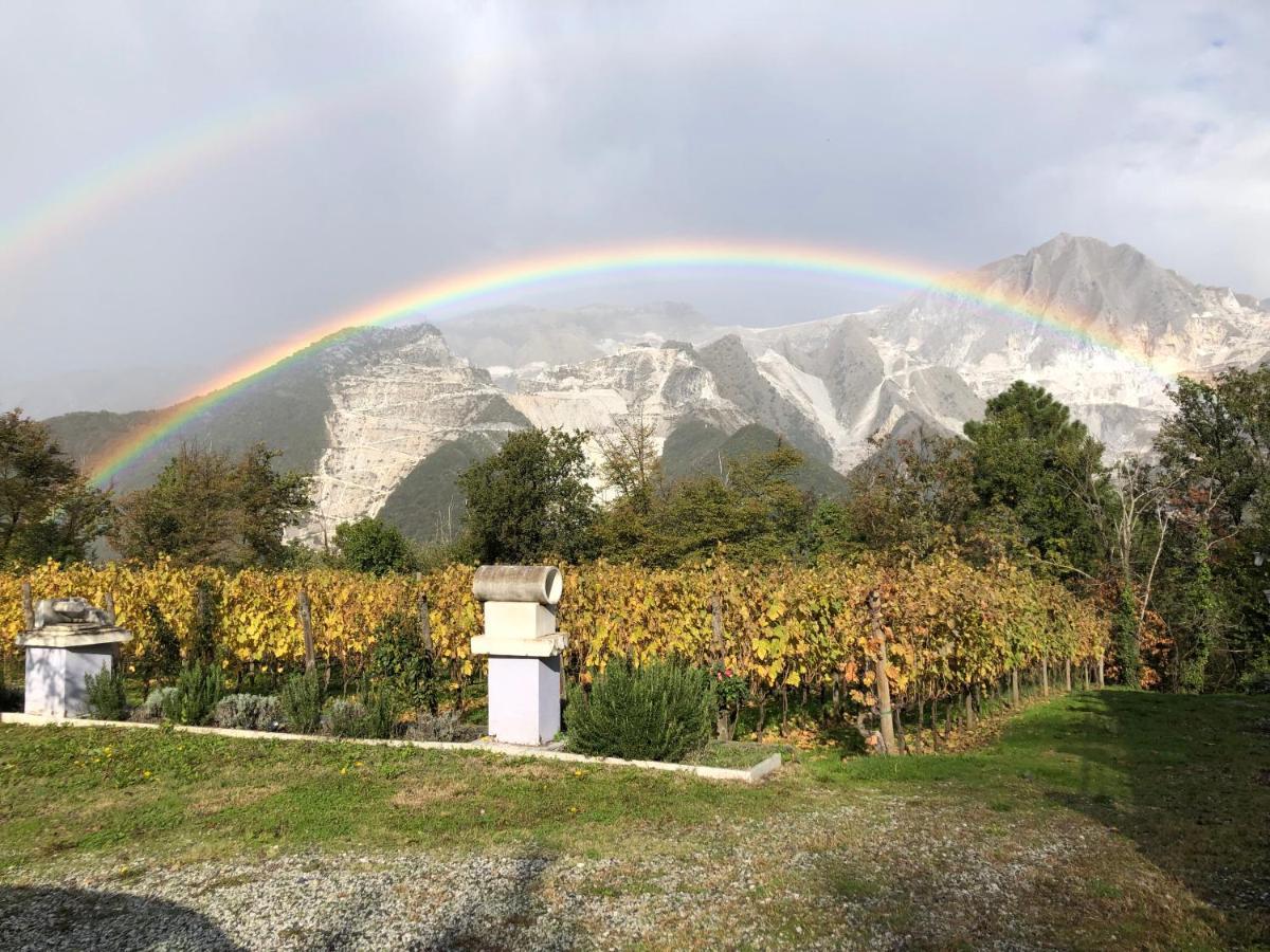 Galleria Ars Apua Bed and Breakfast Carrara Exterior foto