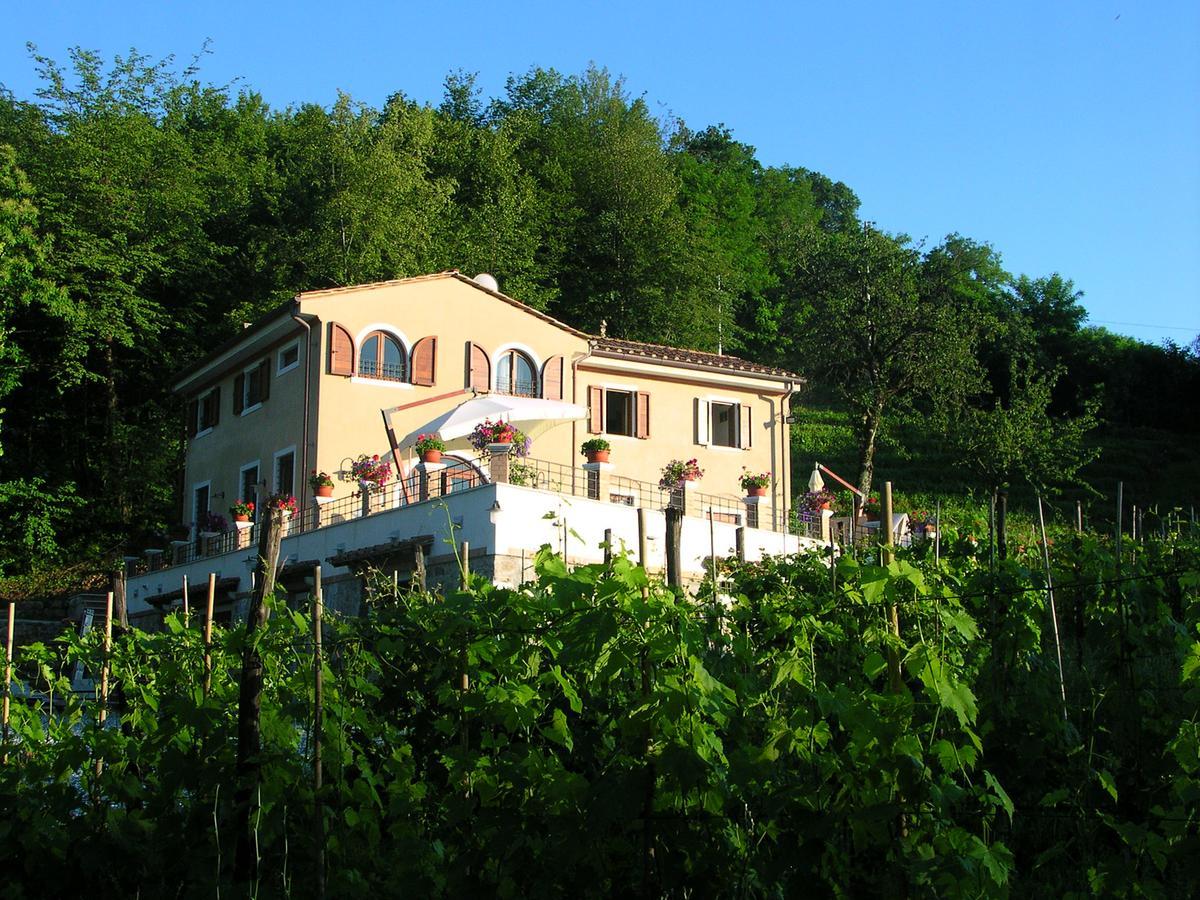 Galleria Ars Apua Bed and Breakfast Carrara Exterior foto