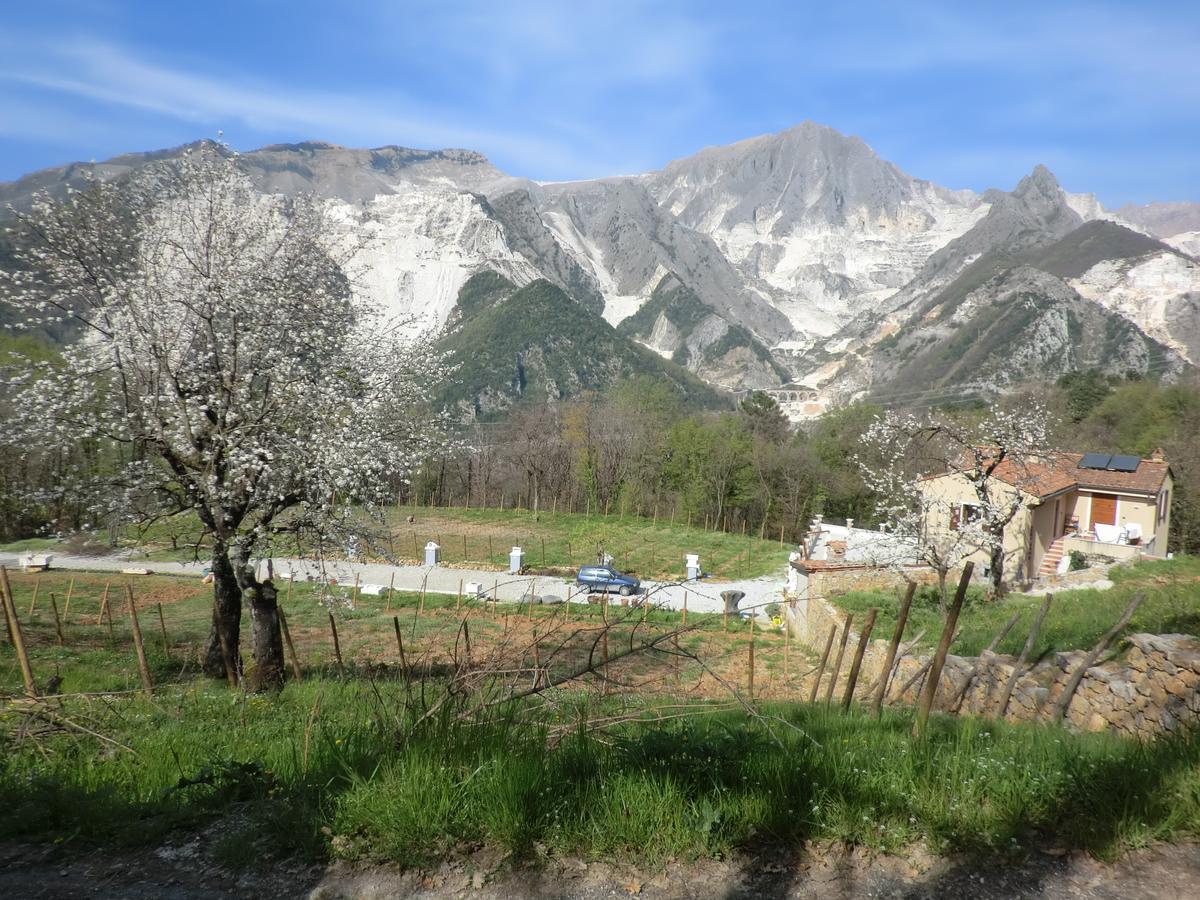 Galleria Ars Apua Bed and Breakfast Carrara Exterior foto